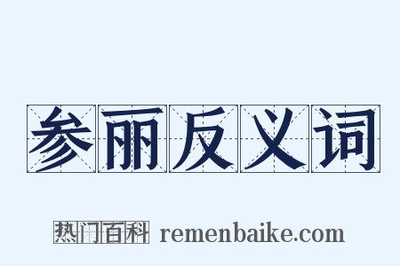 参丽反义词是什么意思的图片